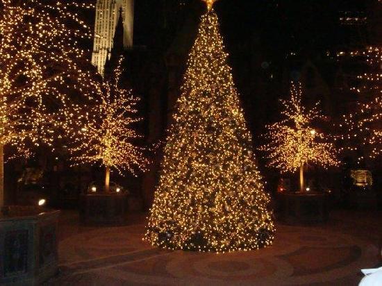 Christmas 
Tree
